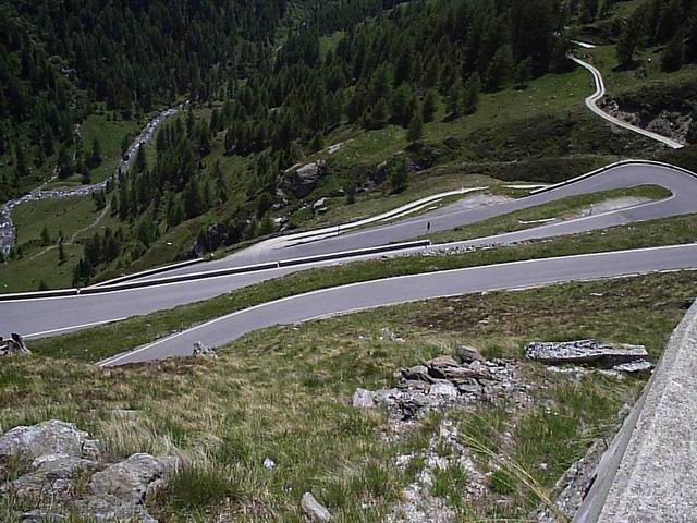 Ridimensiona_diP6110262.jpg