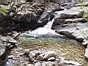 P4290120.JPG
