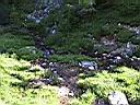P1080100.JPG