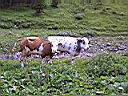 P1080124.JPG