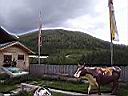 P1090166.JPG