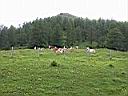 P1090167.JPG