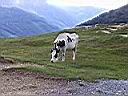 P1090177.JPG